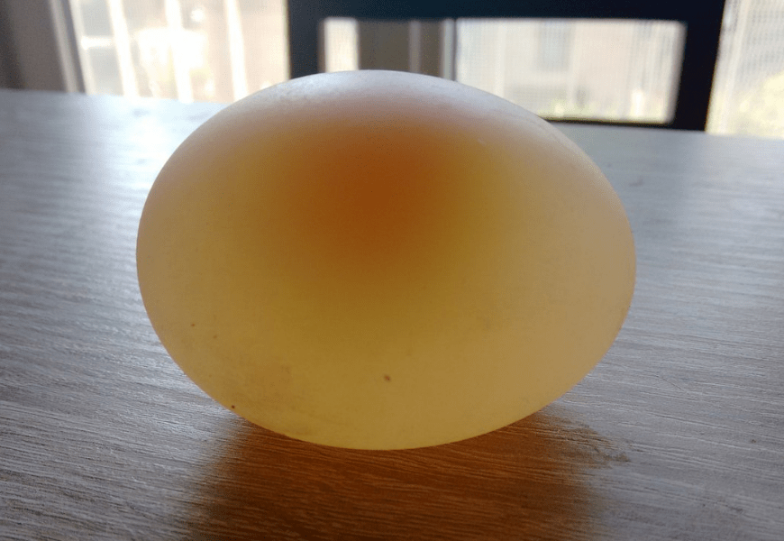 Эксперимент для детей: яйцо без скорлупки
