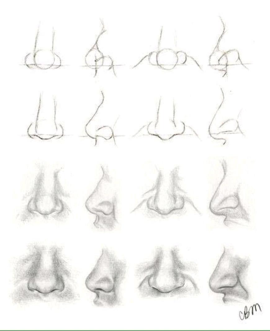Как нарисовать нос пошагово