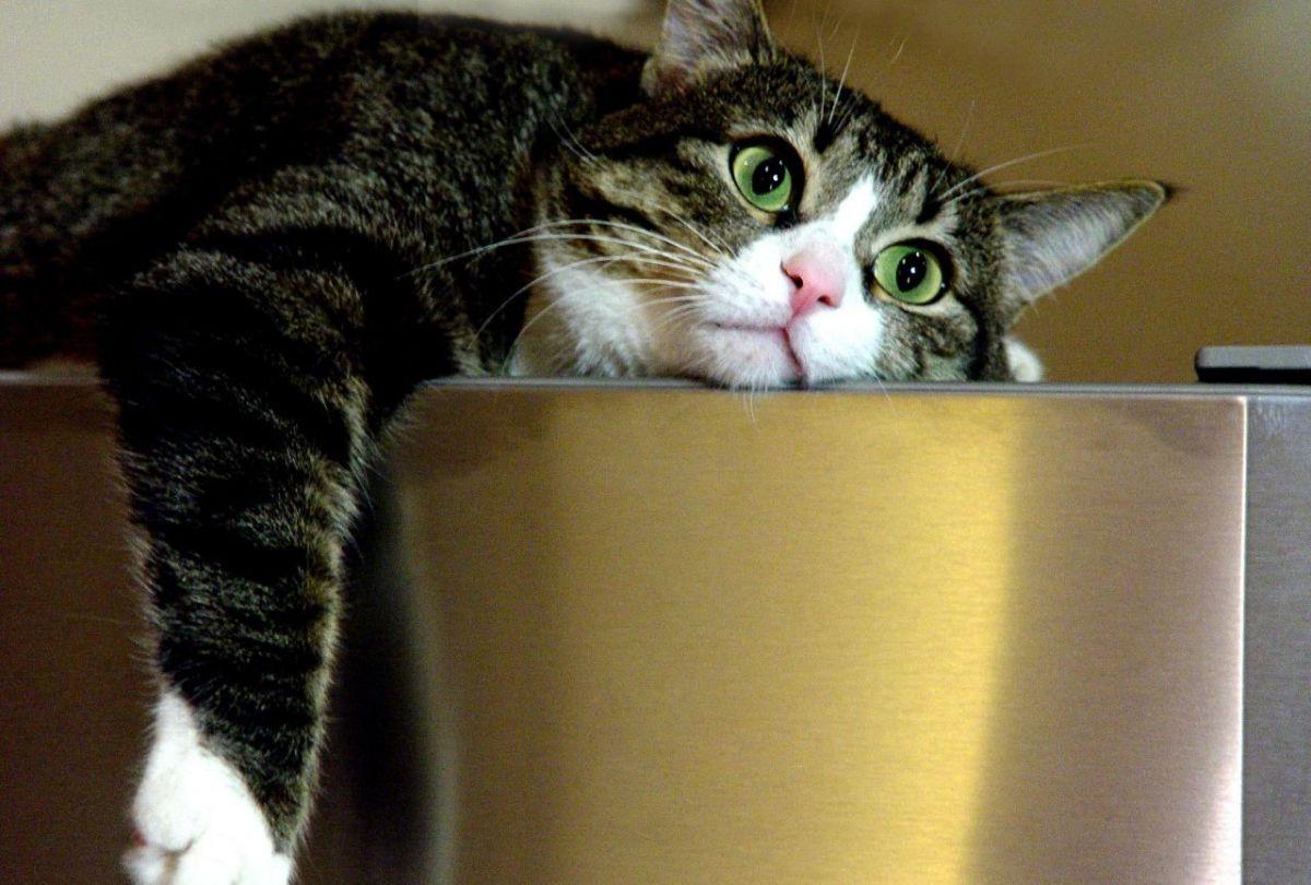 Скукота приколы