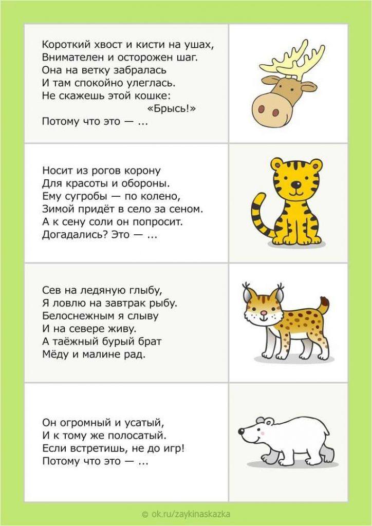 ТОП 170+: загадки про животных для детей 3-6,7 лет (с ответами)