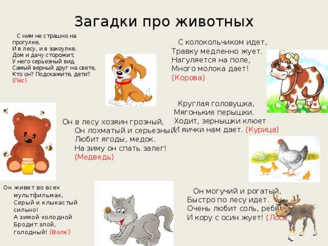 ТОП 170+: загадки про животных для детей 3-6,7 лет (с ответами)