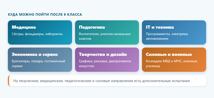 Направления колледжей после 9 класса и профессии, которые можно получить