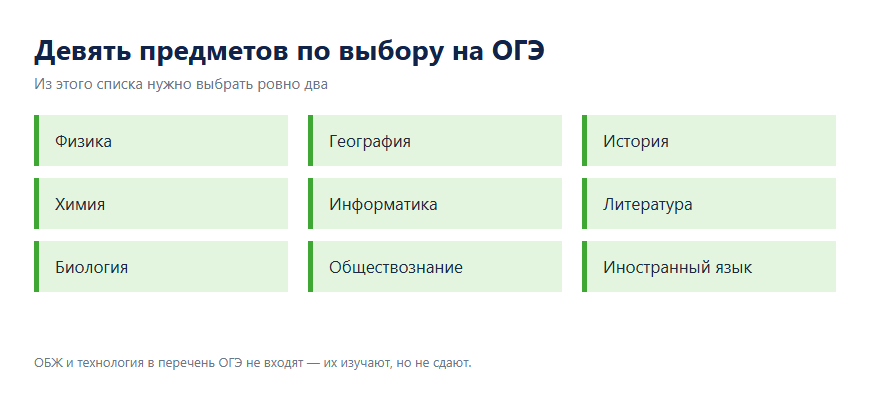 Девять предметов по выбору на ОГЭ: физика, химия, биология, география, информатика, обществознание, история, литература, иностранный язык