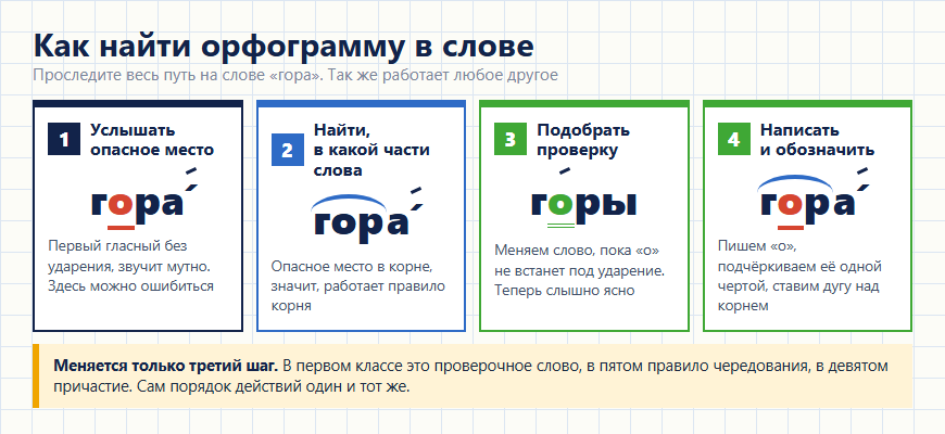 Алгоритм поиска орфограммы в слове из четырёх шагов
