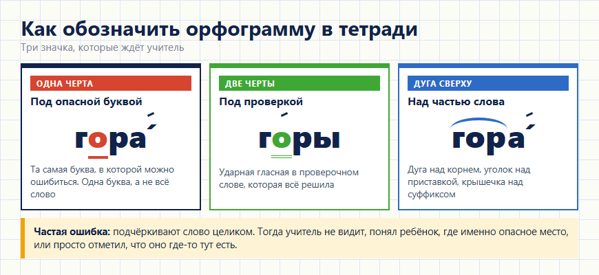 Как подчеркнуть орфограмму в тетради: одна черта, две черты и дуга над корнем