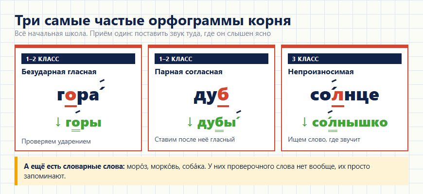 Три частые орфограммы корня: безударная гласная, парная и непроизносимая согласная