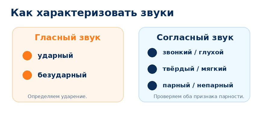 Как характеризовать гласные и согласные звуки