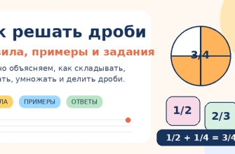 Как решать дроби: правила, примеры для тренировки и задания с ответами