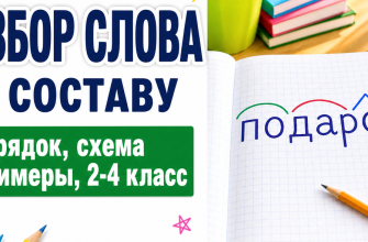 Разбор слова по составу: схема, примеры и тренажер для 2–4 класса