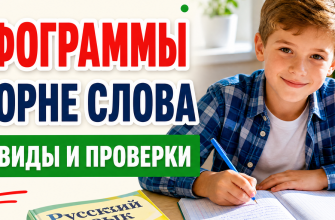 Орфограммы в корне слова: все правила, примеры и тренажер